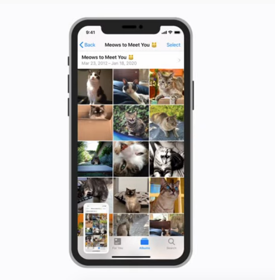 How To Take A Full Page Screenshot In iPhone 11 featured image 